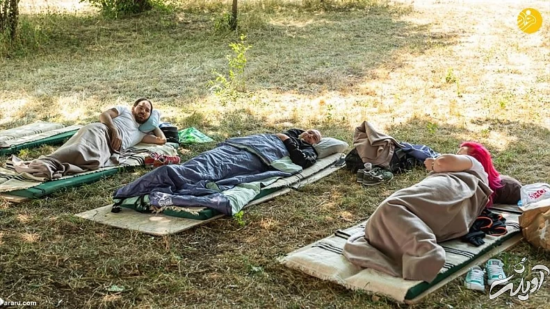 (تصاویر) مسابقه انتخاب تنبل‌ترین شهروند!